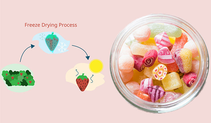 The Science Behind Freeze-Dried Candy That Makes It so Wonderful