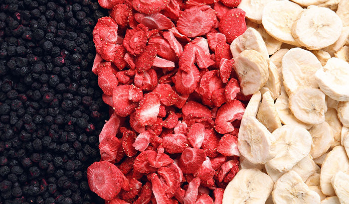 Freeze-Dried Food vs. Dehydrated Food: Which One is Better?